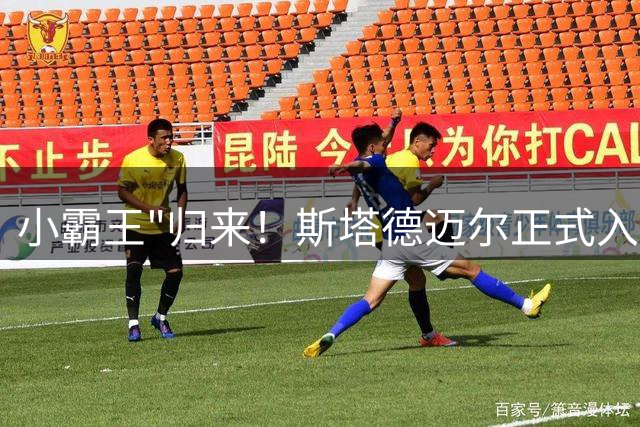 小霸王"归来！斯塔德迈尔正式入选篮球名人堂
